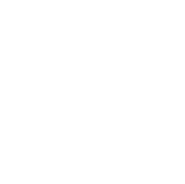 빠르게